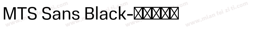 MTS Sans Black字体转换